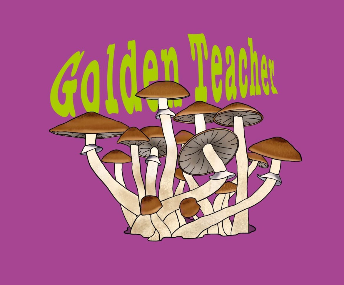 GOLDEN-TEACHER